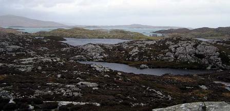 Harris landscape