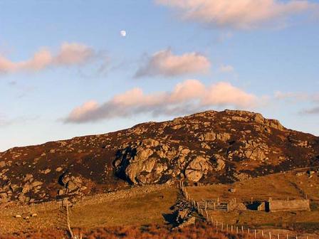 hill behind my cottage